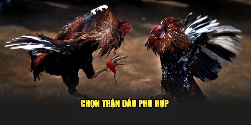 Chọn trận đấu phù hợp