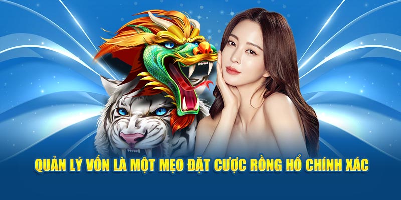 Quản lý vốn là một mẹo đặt cược Rồng Hổ chính xác